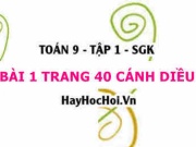 Bài 1 trang 40 Toán 9 tập 1 Cánh Diều